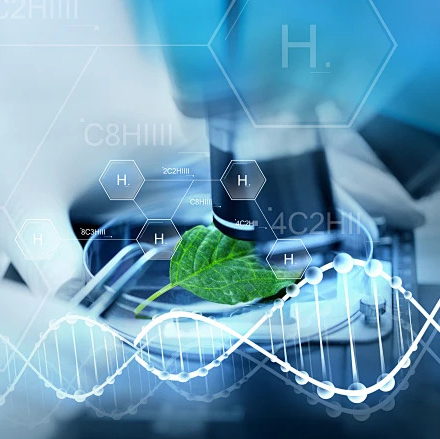 Plant Extract