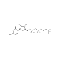 Cytidine 5'-Diphosphocholine