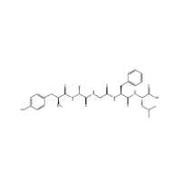  (D-Ala2)-Leu-Enkephalin