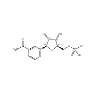 β-Nicotinamide Mononucleotide