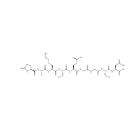 Thymulin/SERUM THYMIC FACTOR