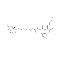 Tripeptide-1