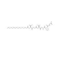 Palmitoyl Hexapeptide-12