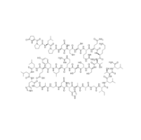 Orexin A (bovine, human, mouse, rat)