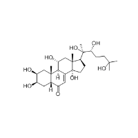 Turkesterone