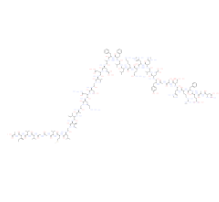 Amyloid β-Peptide (1-42) (human)