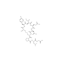 Oxytocin