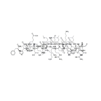 Teriparatide