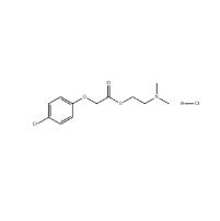 Meclofenoxate hydrochloride