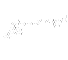 C-PEPTIDE (HUMAN)