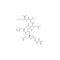 Octapeptide 2