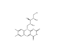Riboflavin/Vitamin B2