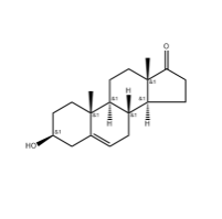  Dehydroepiandrosterone