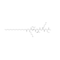 Palmitoyl Pentapeptide