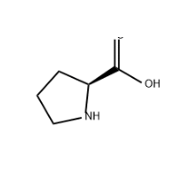 L-Proline