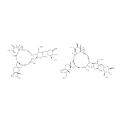 Ivermectin