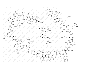 GLUCAGON (1-37) (PORCINE)